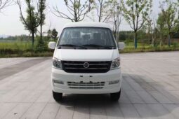 
										CNG MINI BUS full									